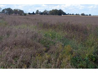 Property photo 96 - EHLE FARMS AUCTION - 118+/- ACRES IN 9 TRACTS IN ALLEN COUNTY, INDIANA